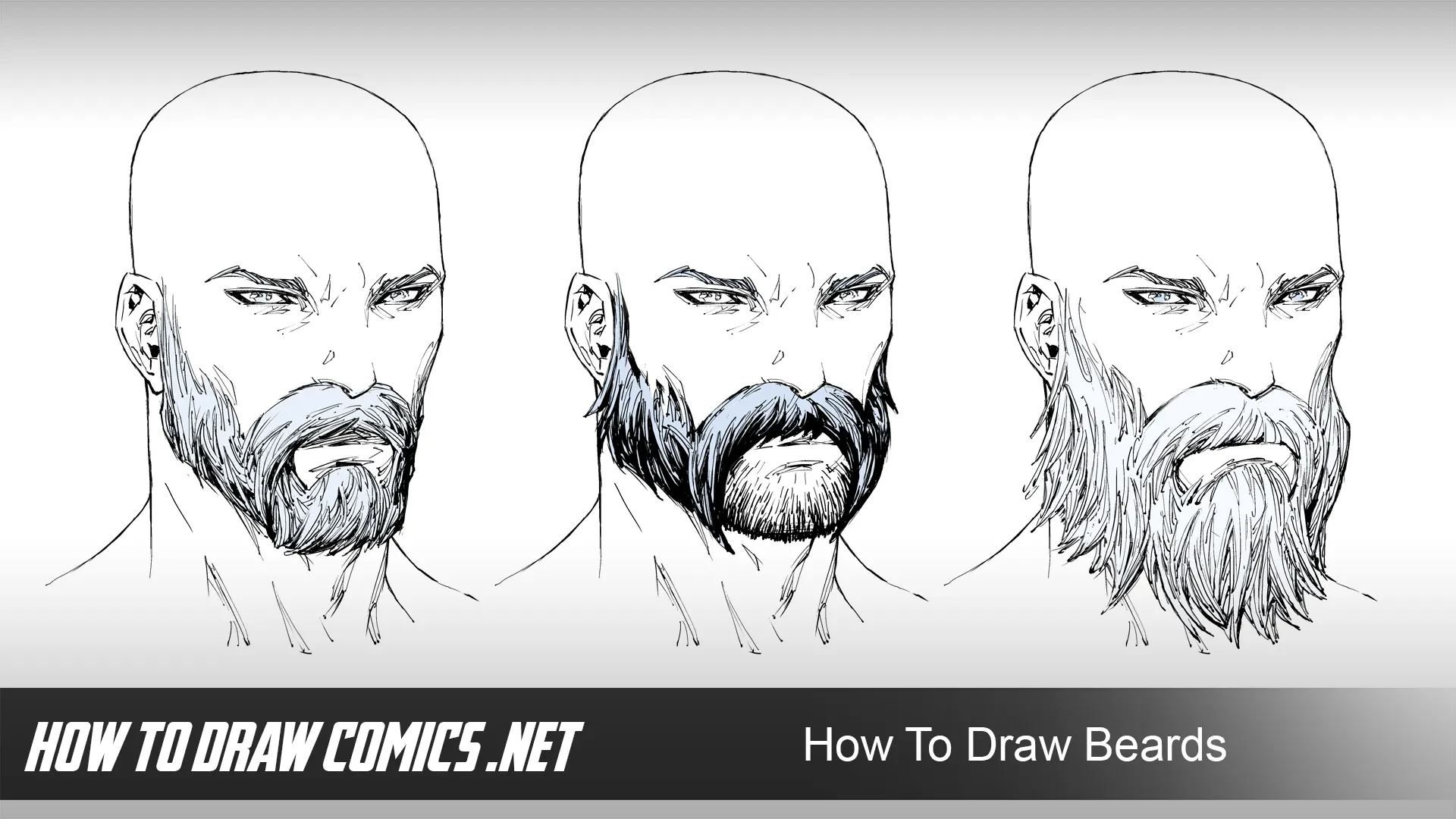 basic beard shapes sketch