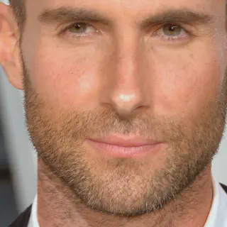 img/1657_adam-levines-beard-styles-through-the-years.webp