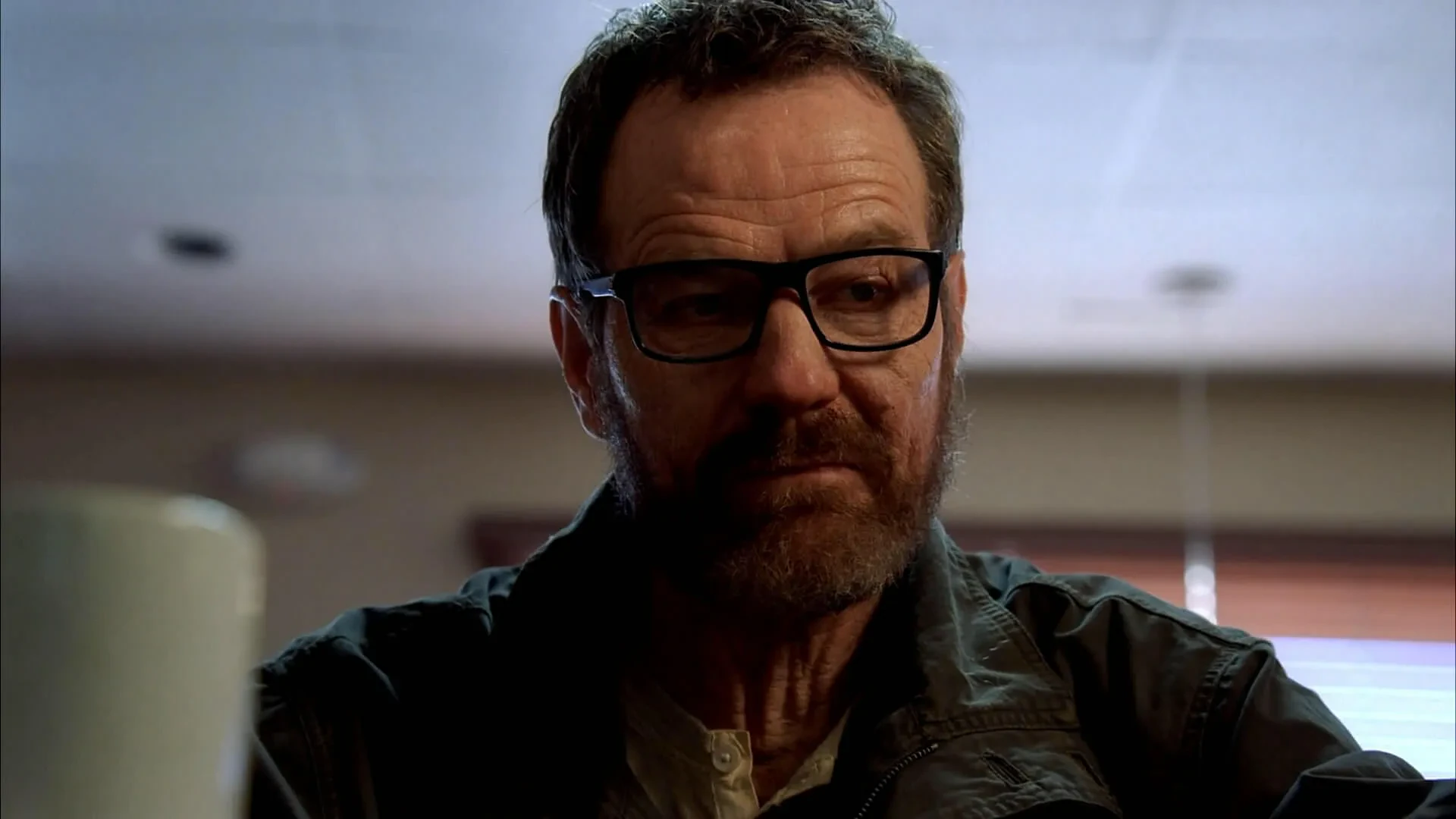 Walter White Season 5 Beard