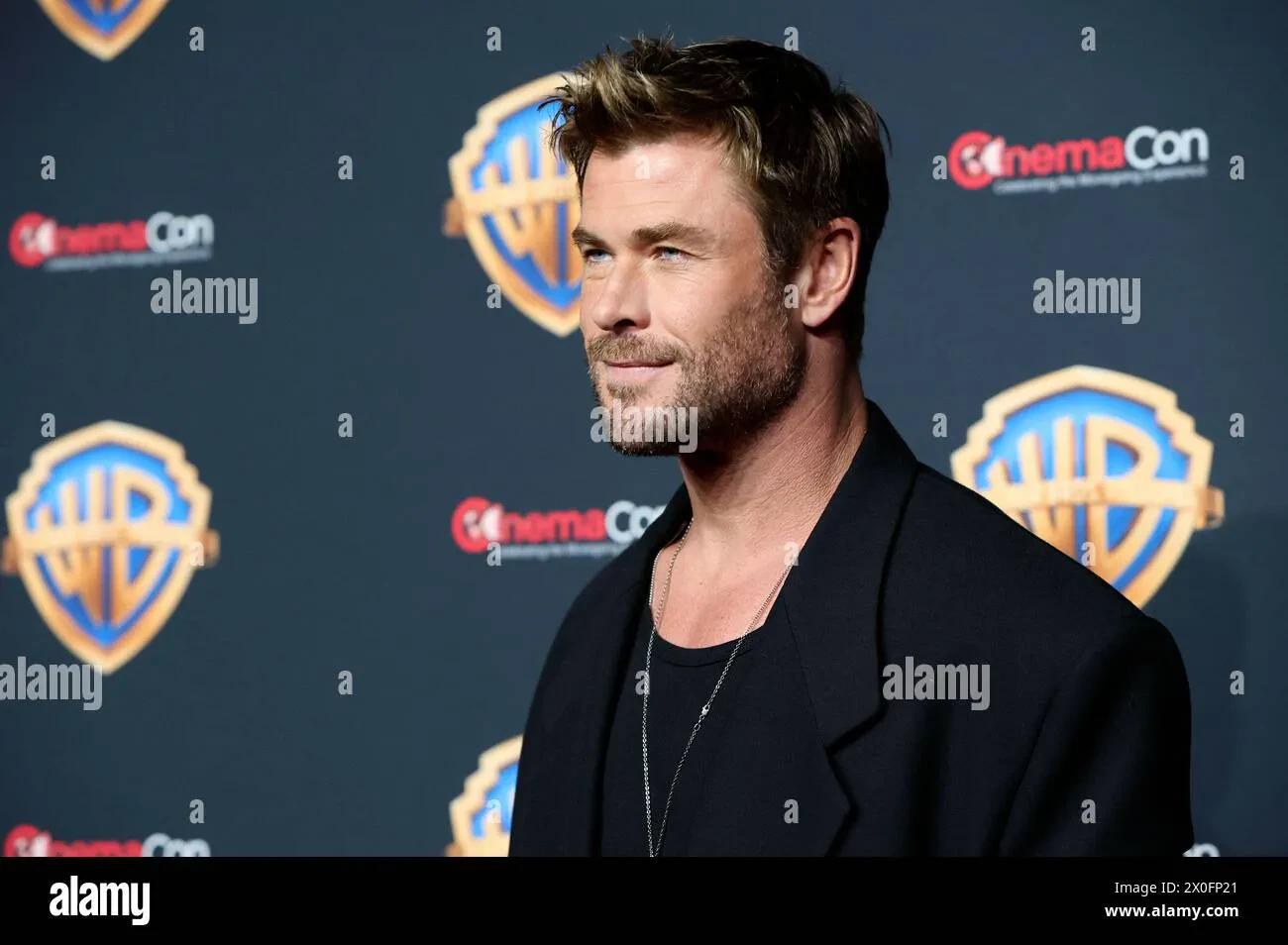 Chris Hemsworth Goatee 2024