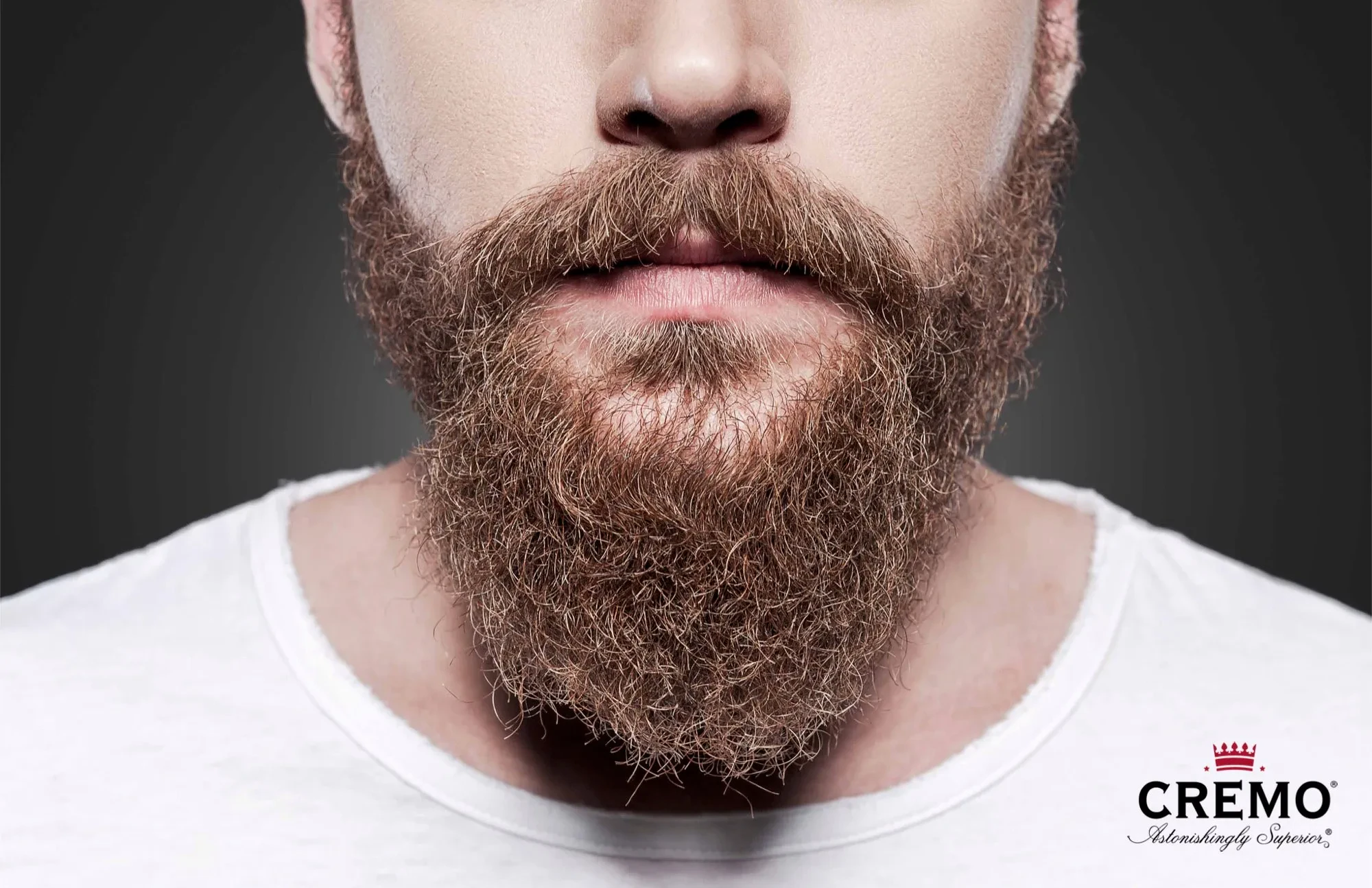 img/1744_finding-your-perfect-mean-beard-style-in-2024.webp