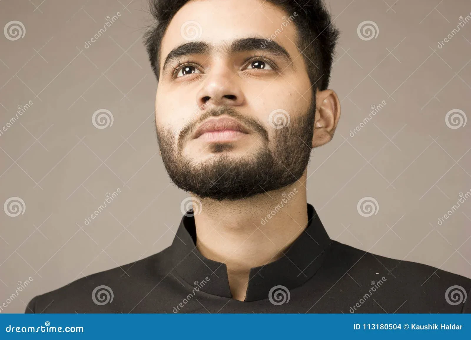 Well Groomed Indian Beard