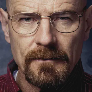 img/1709_walter-whites-beard-evolution-from-mr-chips-to-heisenberg.webp