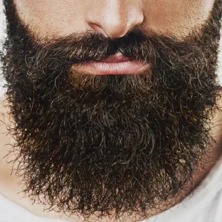 img/1708_mans-beard-styles-2024-a-guide-to-rocking-the-perfect-look.webp